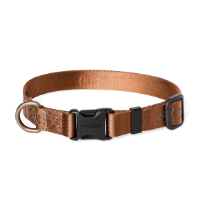 Nylon Dog Collar - Whiskey