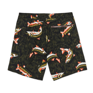 Alternative view of Cooper Lake Trunks  - Trout Falls